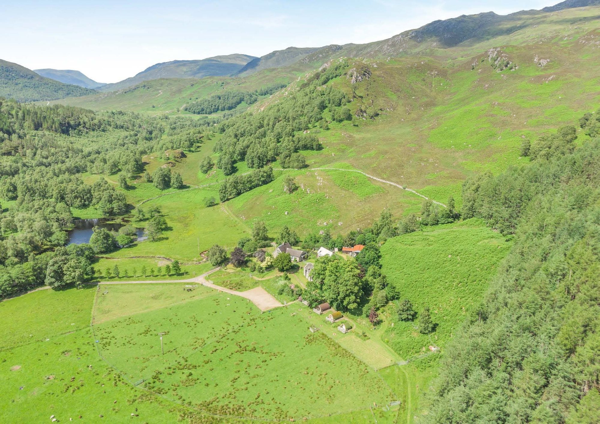 The glen from above, with the hill rising behind